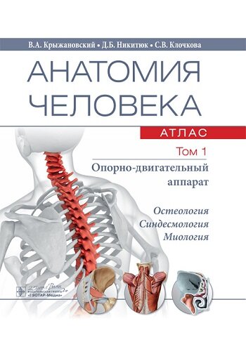 Анатомия человека. Атлас в 3-х томах. Том 1.