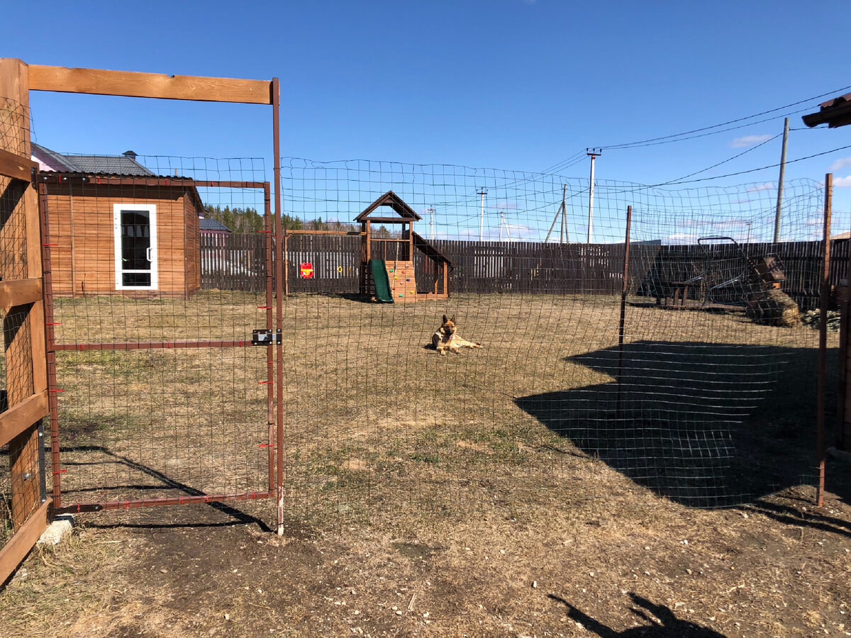 В зоне отдыха находимся все вместе, если же приезжают гости, то Бритни остается за заборчиком на свободном выгуле 