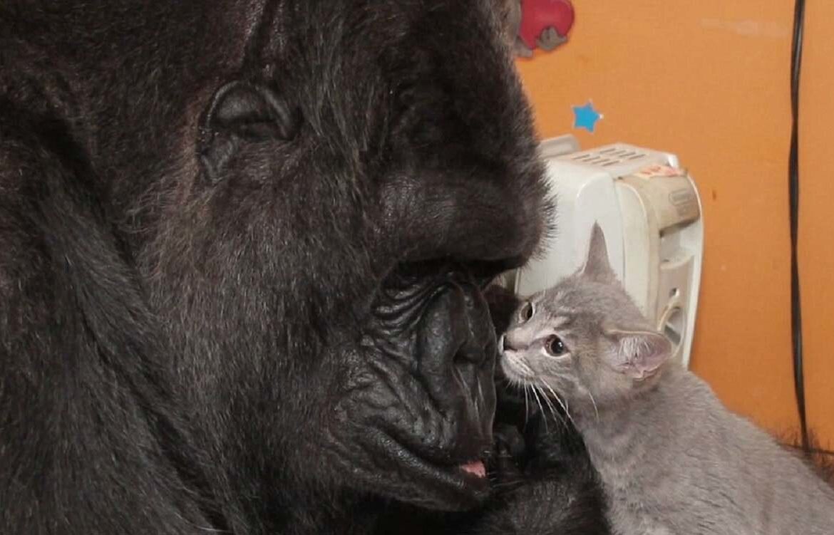 Коко и ее питомец. Фото: aroundpet.ru