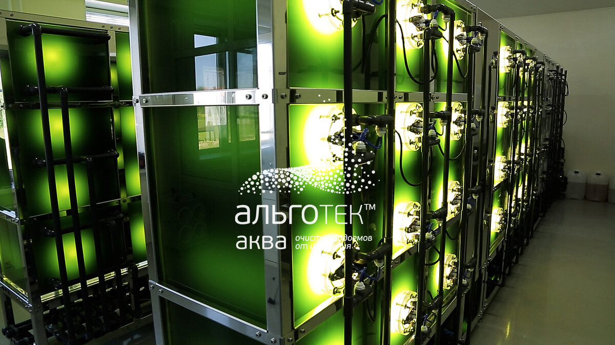 автоматические биореакторы на производстве "АЛЬГОТЕК"