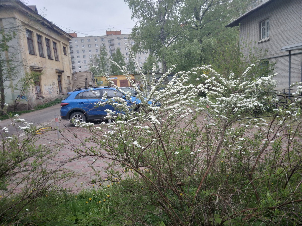 Фото автора