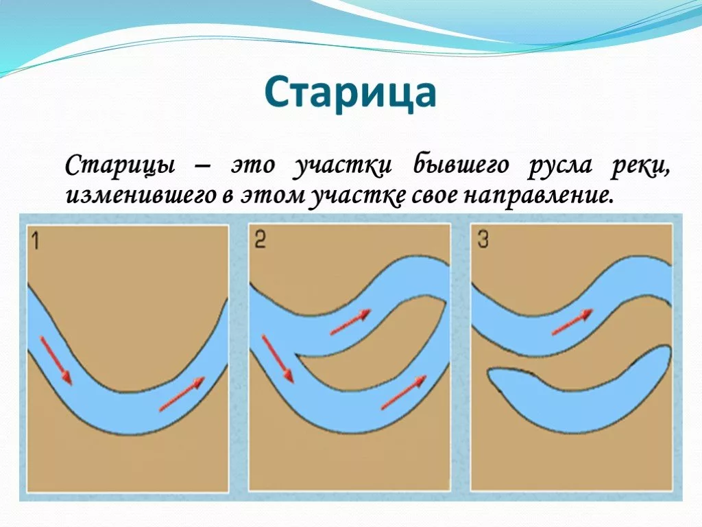 Озера старицы это. Озеро Старица схема. Старица реки. Старица русло. Старица это в географии.
