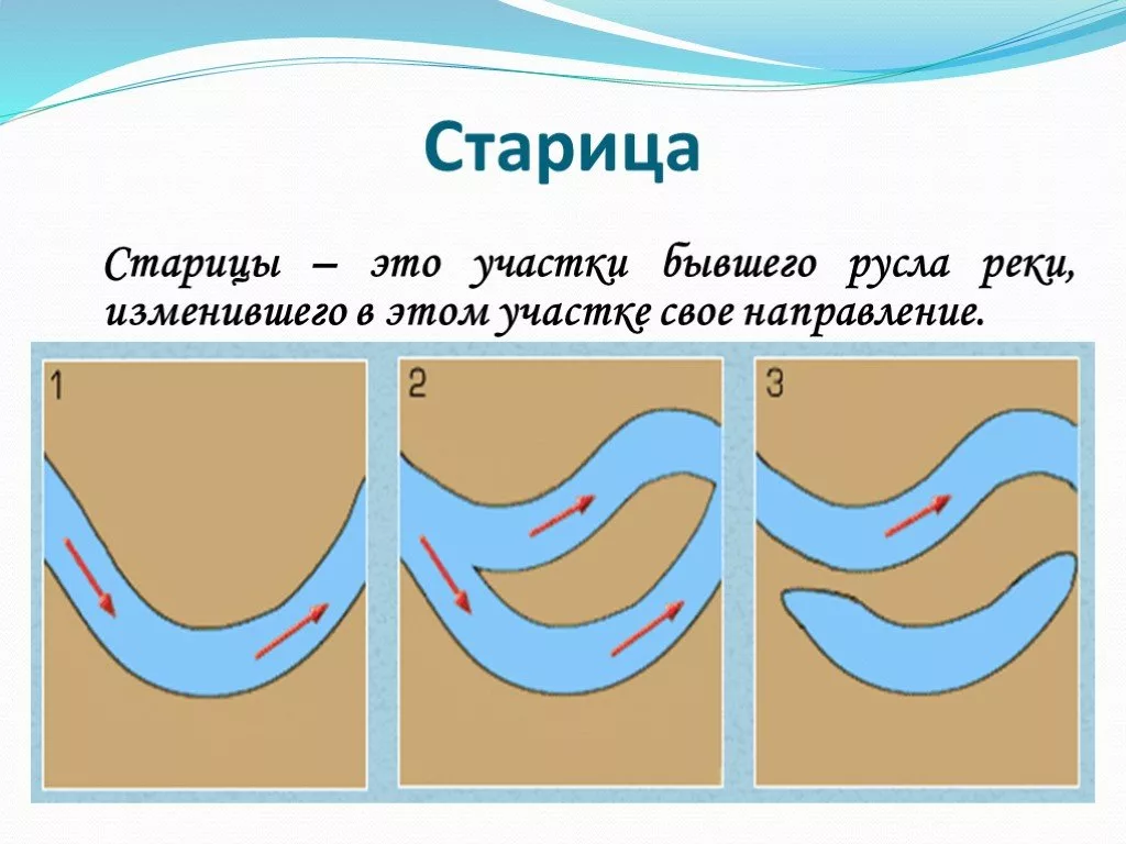 Что такое старица реки. Озеро Старица. Старица реки. Старица русло. Озеро-Старица это в географии.