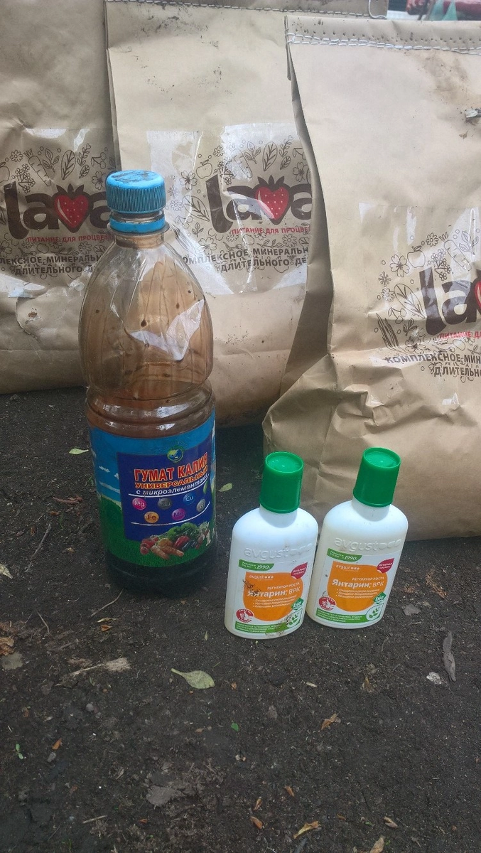 Удобрений и стимуляторов море …НЕ ЗАЦИКЛИВАЙТЕСЬ !!!!!🎡ВОЛШЕБНЫХ УДОБРЕНИЙ НЕ БЫВАЕТ! ПОЛЬЗУЙТЕСЬ ТЕМ ЧТО ПОД РУКОЙ!🍓