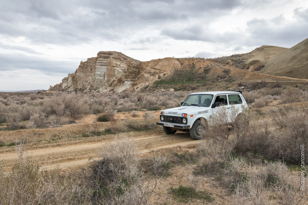 Белка на фоне так называемого берегового клифа Аральского моря