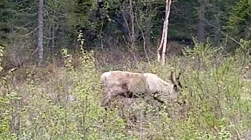 Уроки, которые нужно извлечь