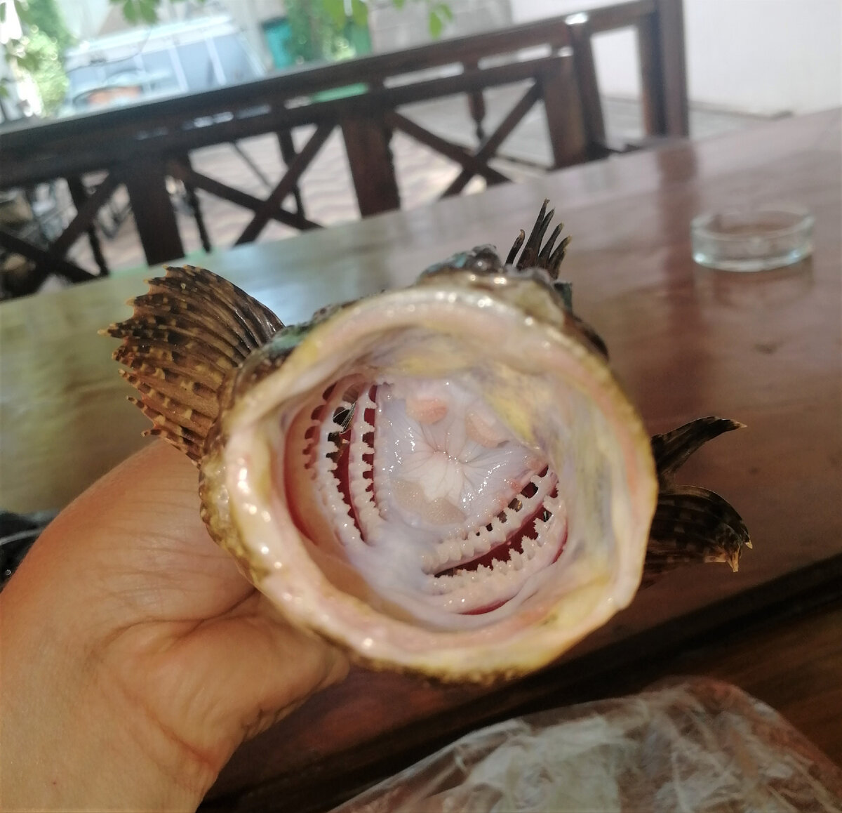 ерш на черном море