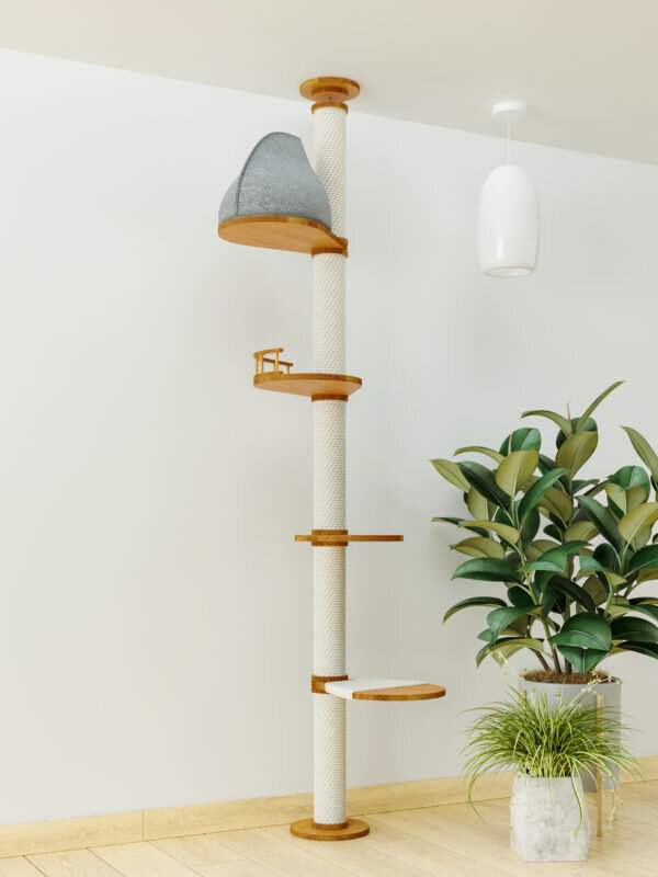 Фото с сайта