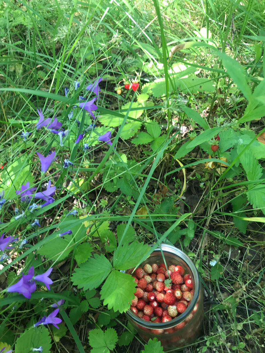  Сегодня собираю.