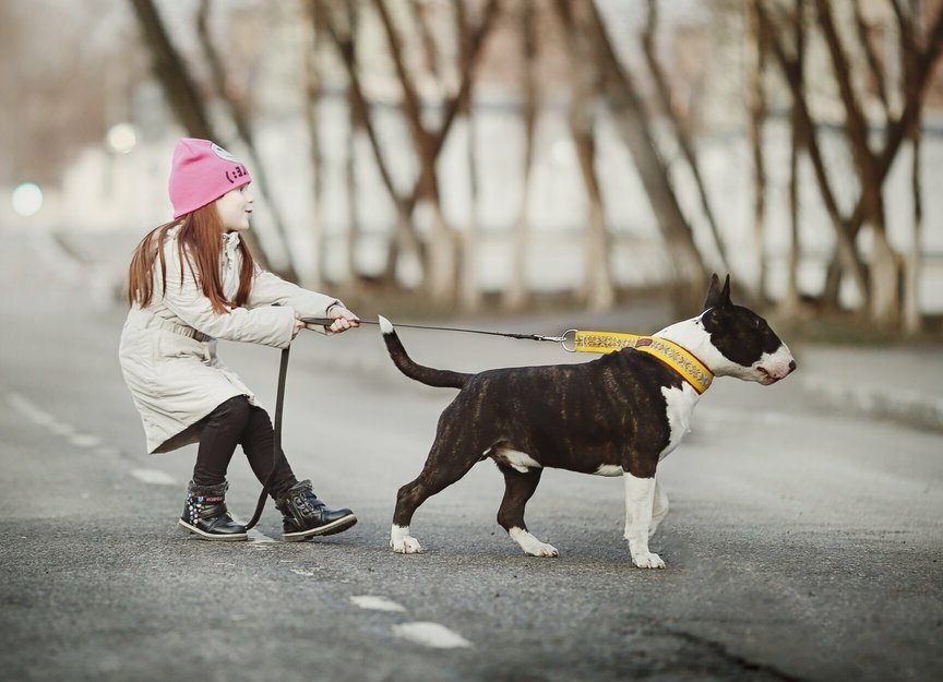 Фотография взята из источника ucrazy.ru