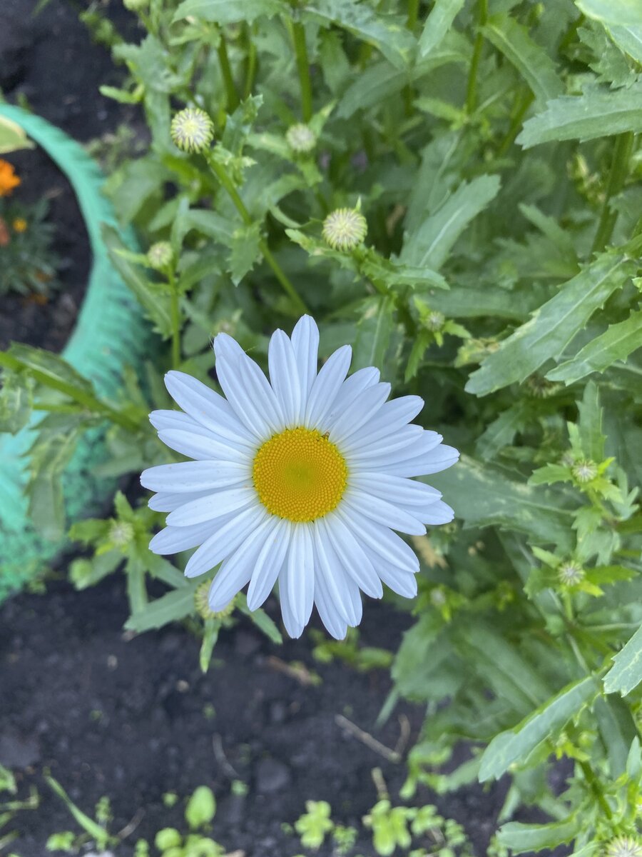 Личное