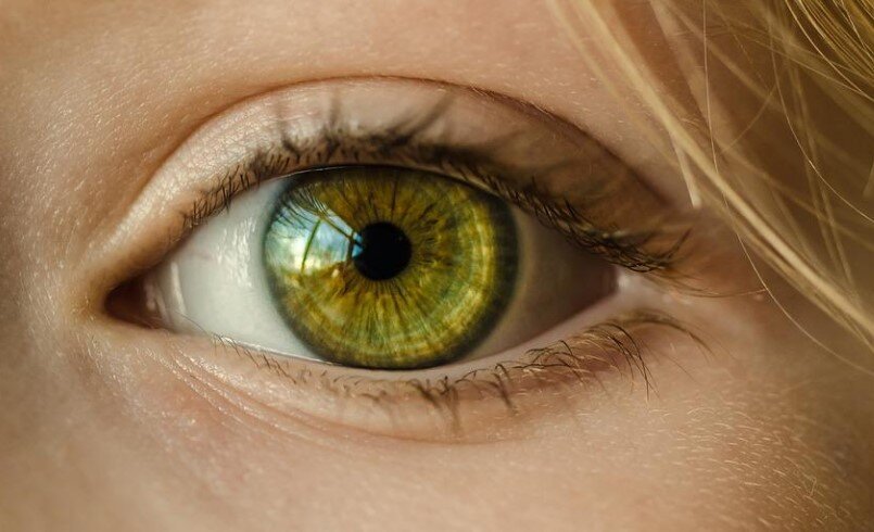 Фото: Pixabay.com