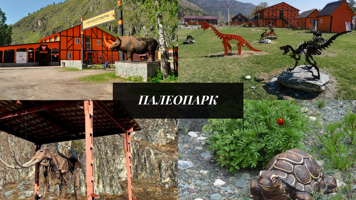 Музей естественной истории «Палеопарк» — абсолютно новая достопримечательность Горного Алтая. Музей открылся в начале июля 2015 года.