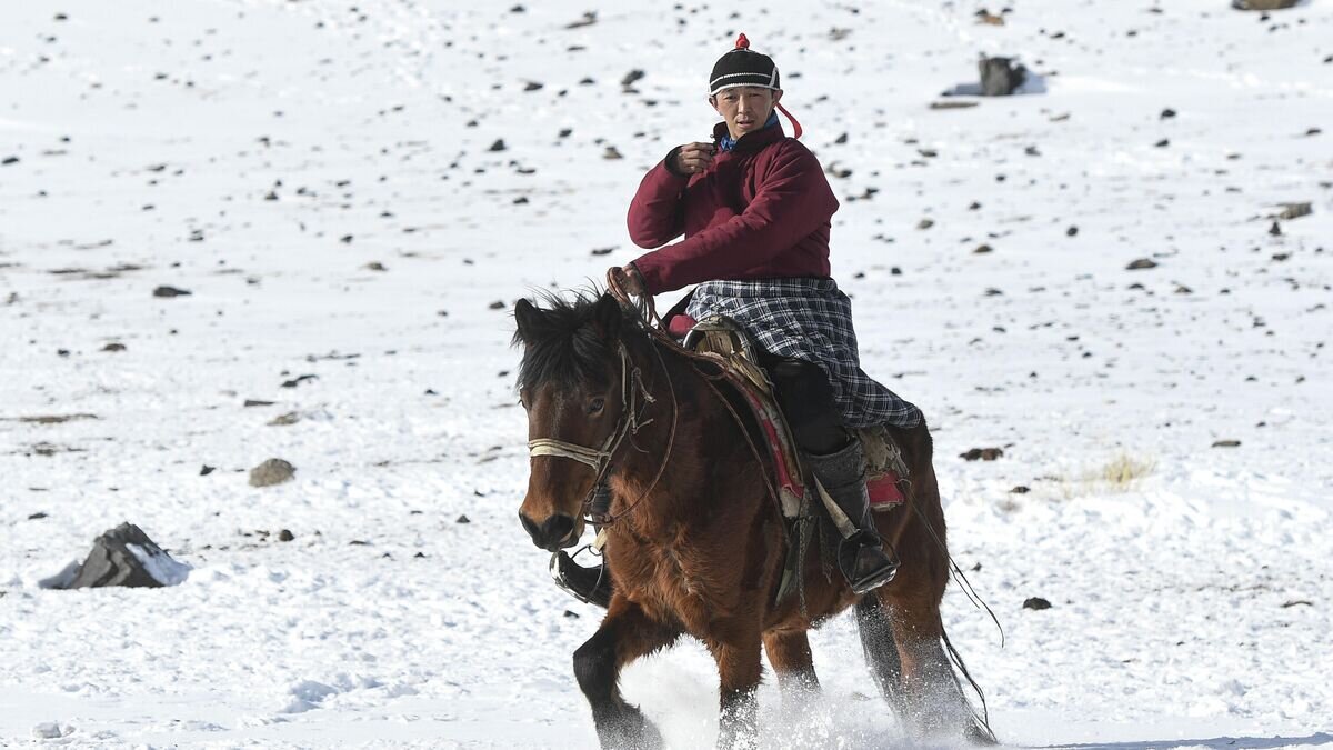    Всадник на склоне горы в Монгун-Тайгинском кожууне Республики Тыва© РИА Новости / Александр Кряжев