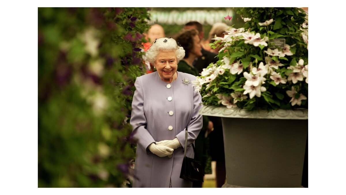    Ежегодное Цветочное шоу в Челси (Chelsea Flower Show)© Фото : RHS / Andy Paradise