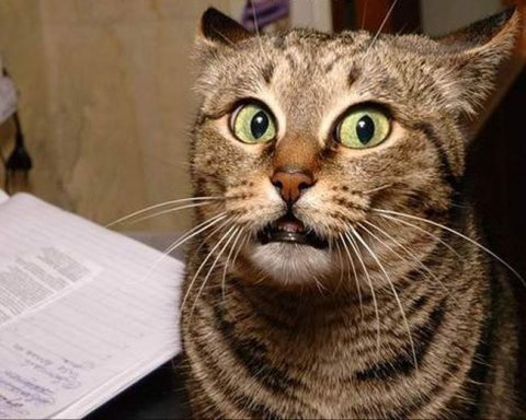 яндекс фото