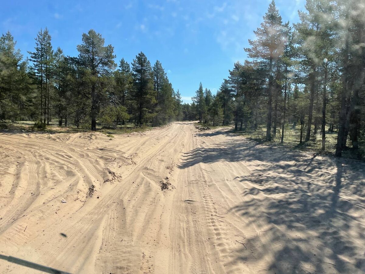 Дорога на Кузомень