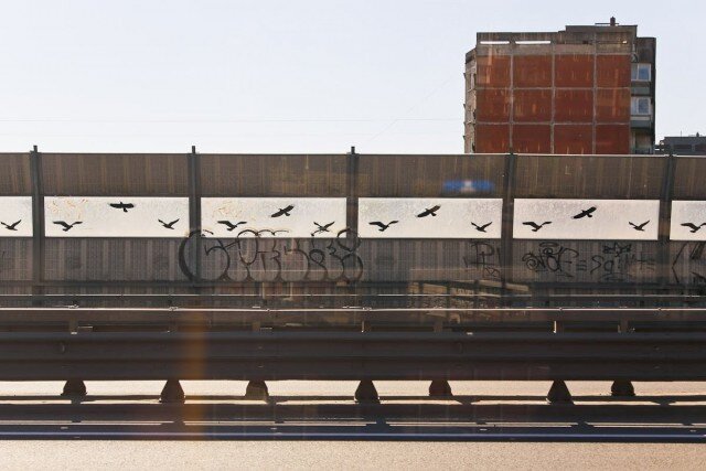   Фото из архива Калининград.Ru