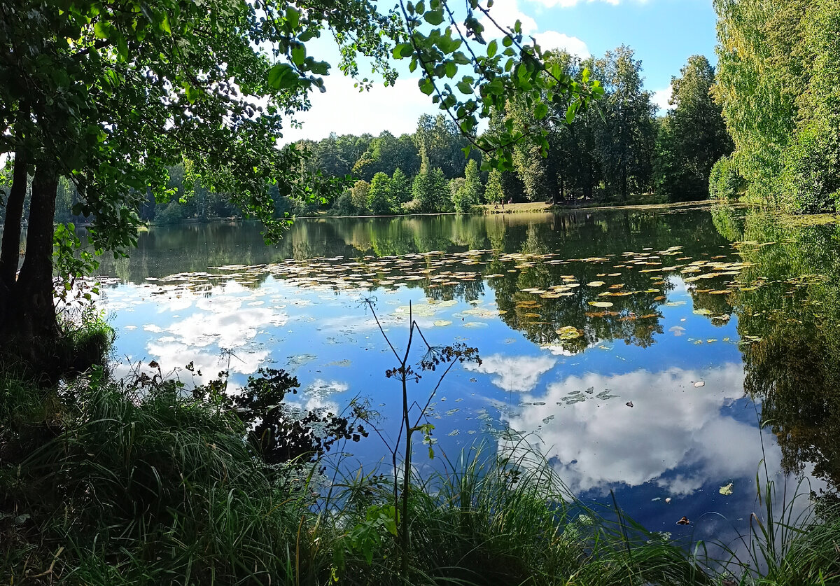 Цвета и их отражения