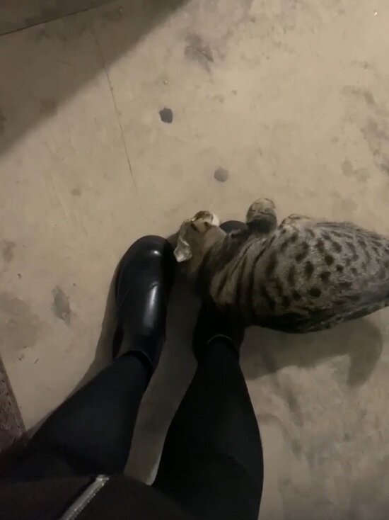     Фото: vk.com Аварийный Новый Уренгой