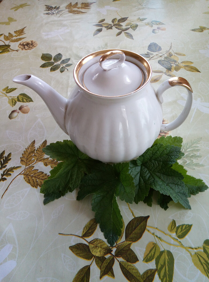 Заварен чаёк со смородиновым листом.