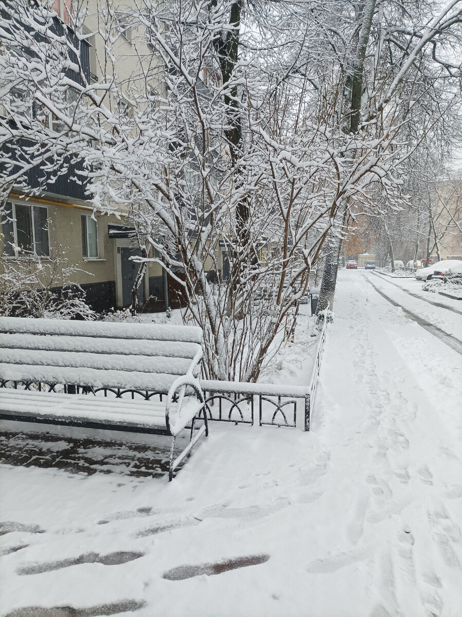 17 ноября. Чудеса🥰