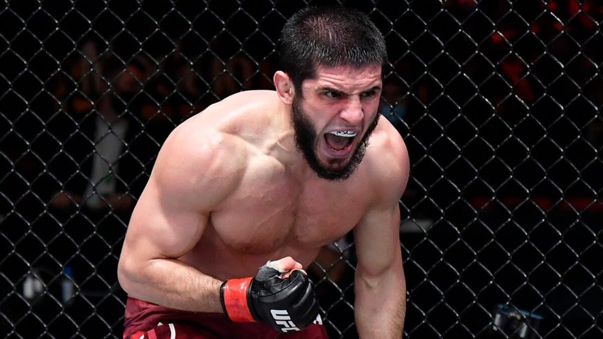    Фото: UFC