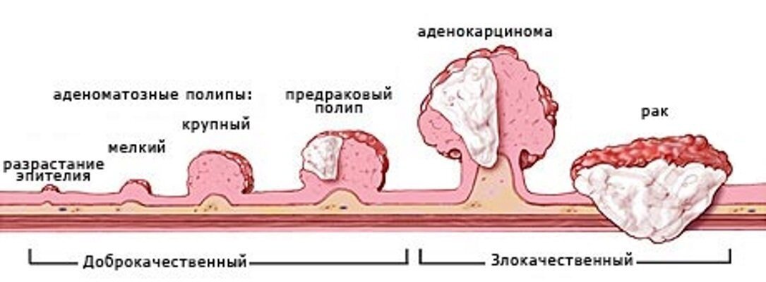 Период полового созревания у мальчиков и девочек