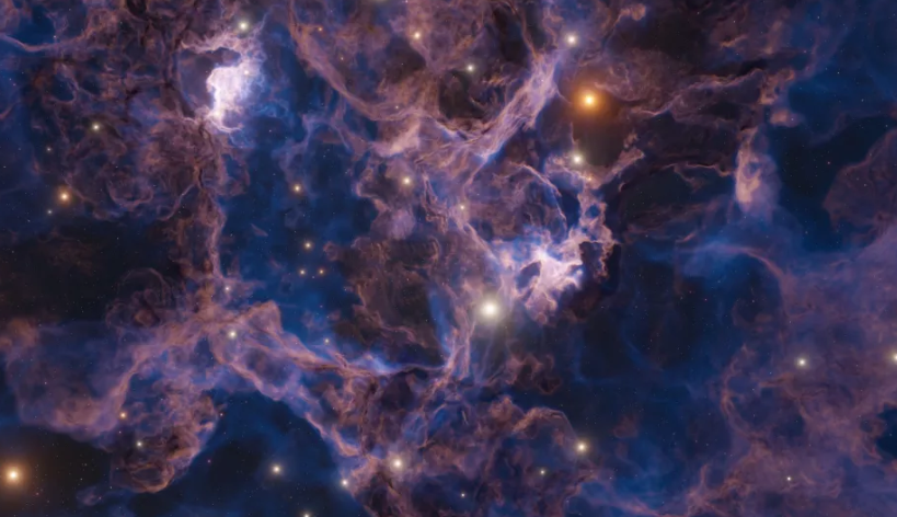 Источник: https://www.livescience.com/