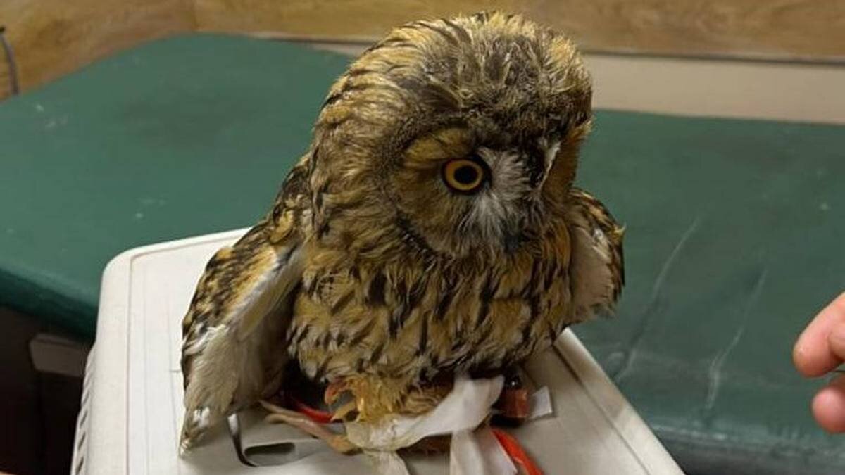    Фото: Пресс-служба Комплекса городского хозяйства Москвы