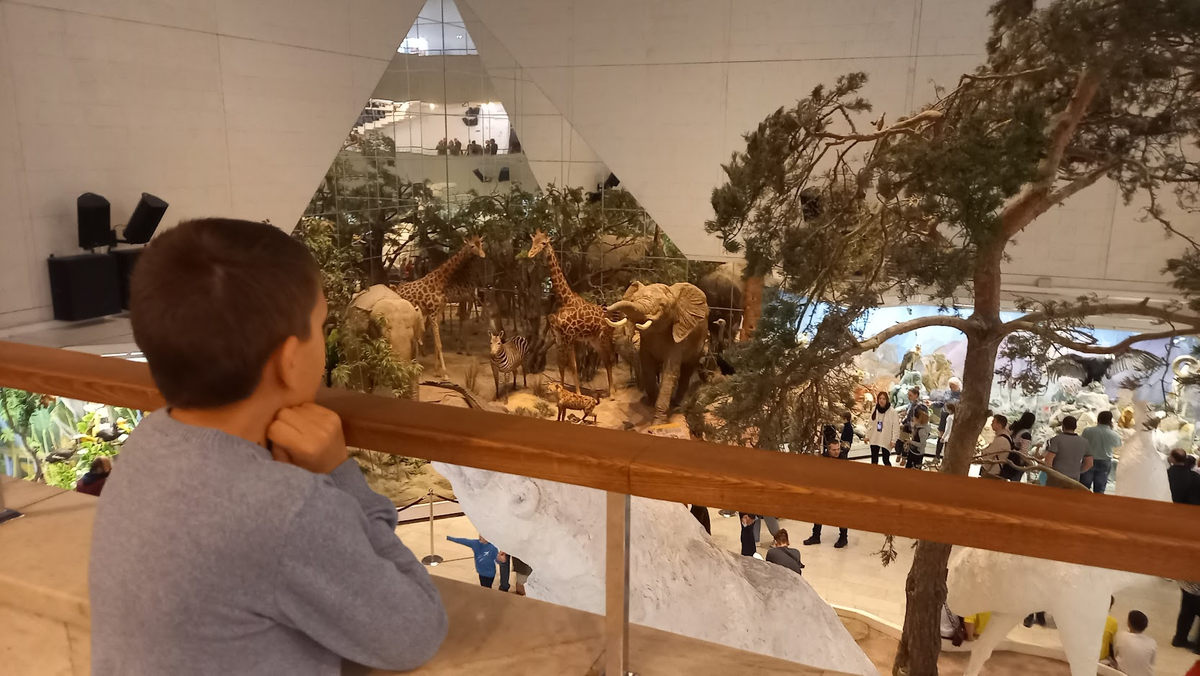 Сережа в Дарвиновском музее