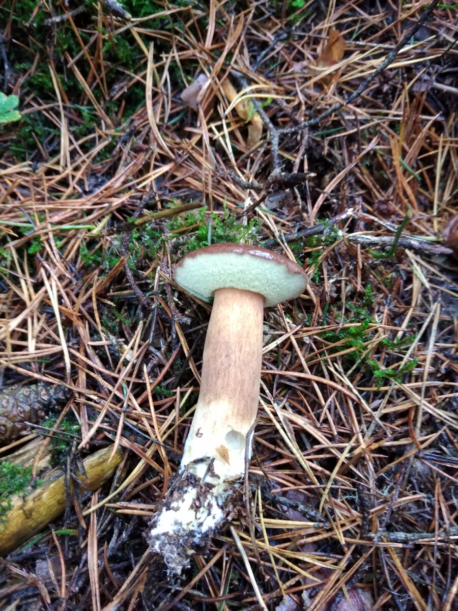 После дождя