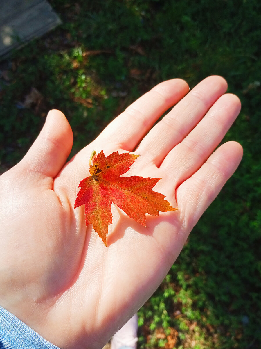 Фото автора.