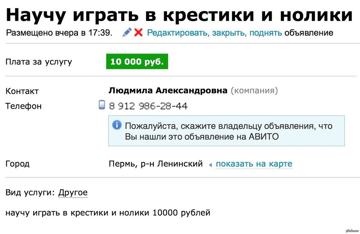 На Авито народ прикалывается или серьёзно подаёт такие глупые объявления?(Дзен)  - «Паноптикум» - Усадьба Урсы