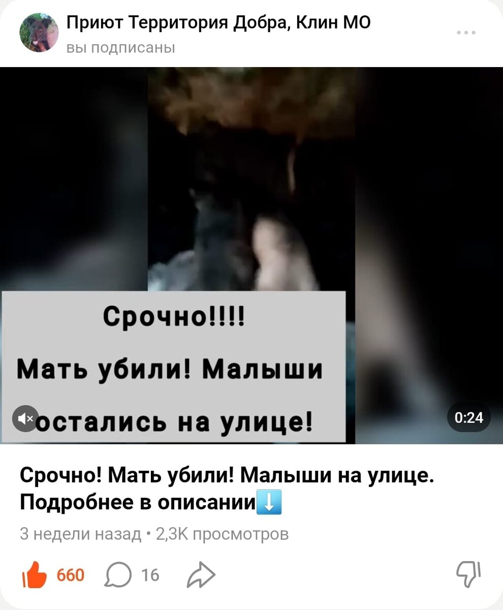 Пост от 18 октября