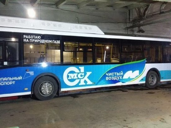     Фото: пресс-служба мэрии Омска