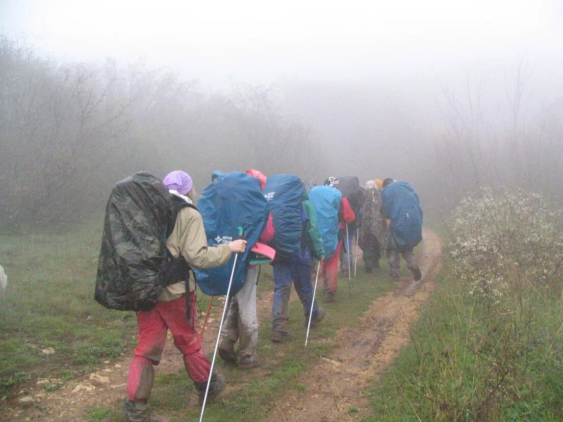 Ежики в тумане