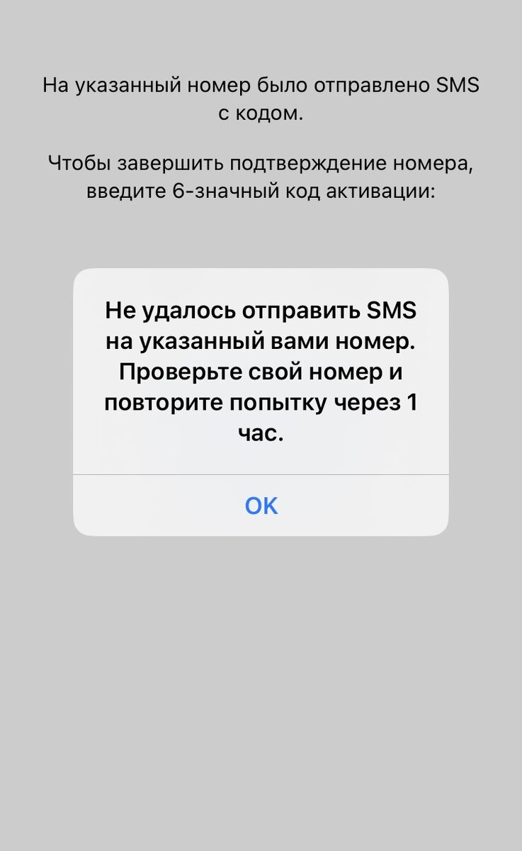 Скрин проблемы внутри приложения