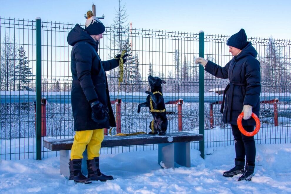    В поселке Правохеттинском построили площадку для выгула собак в рамках проекта «Уютный Ямал»