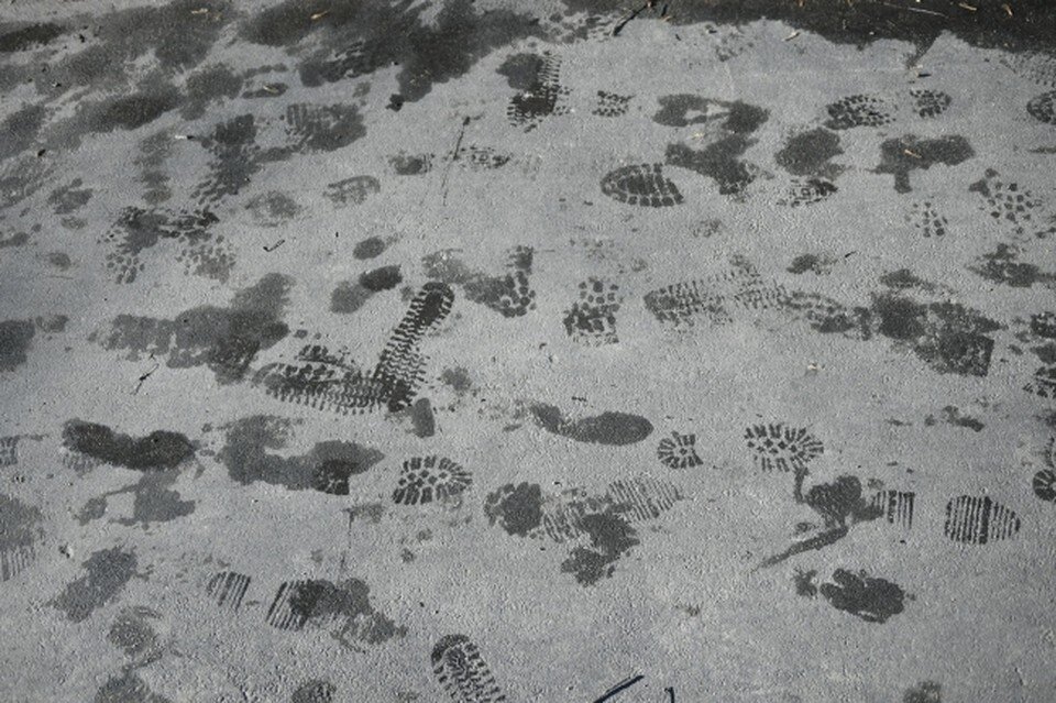     На предстоящей неделе в Ростове ожидается мокрый снег. Алексей ФОКИН