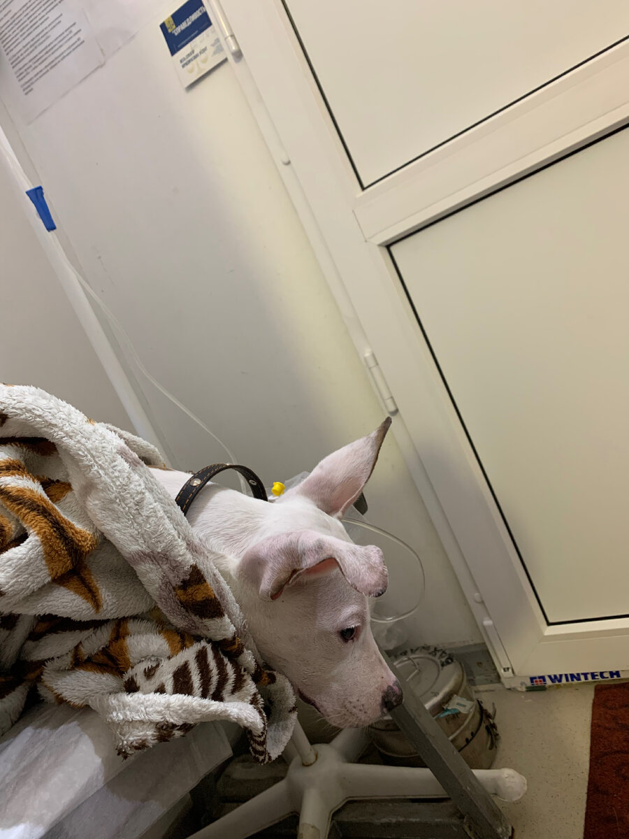 Каждое утро в последние дни начинается именно так