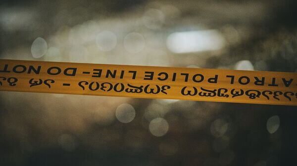   © photo: Sputnik / Stringer