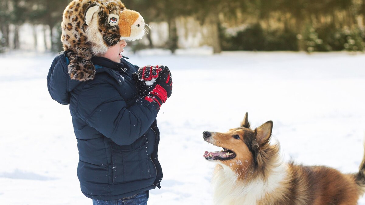 Мальчик играет с собакой в снежки 