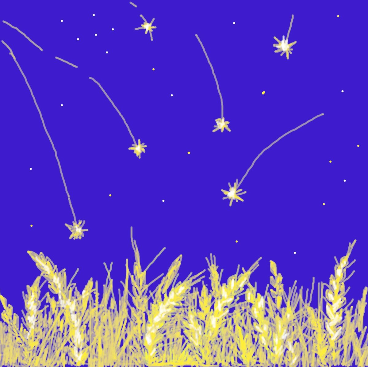 Все фотографии и рисунки в статье мои