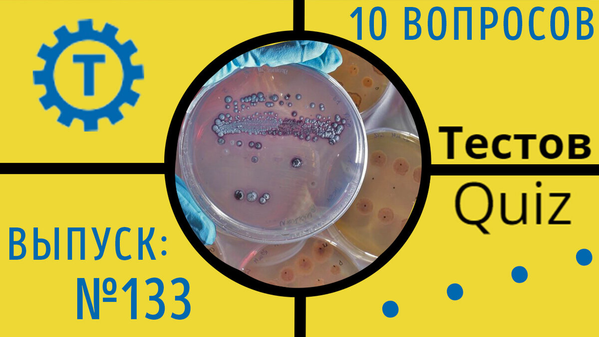 Коллаж автора Тестов Quiz // Выпуск №133
