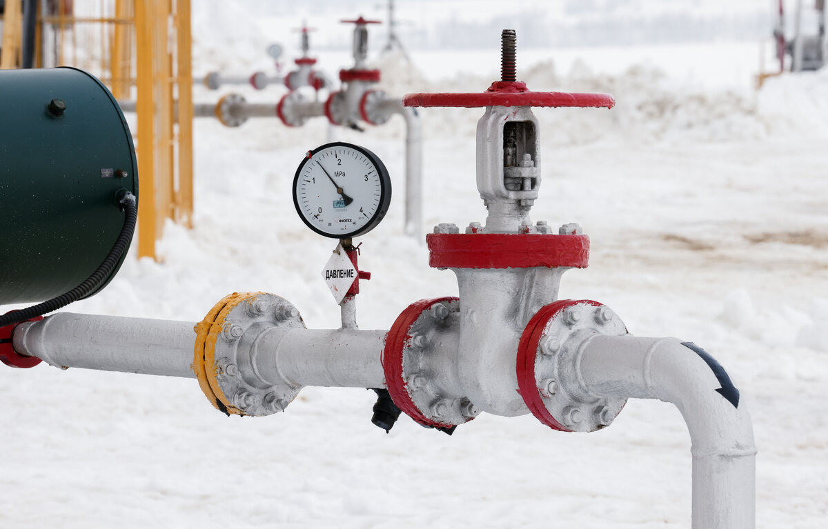 Егор Алеев/ТАСС