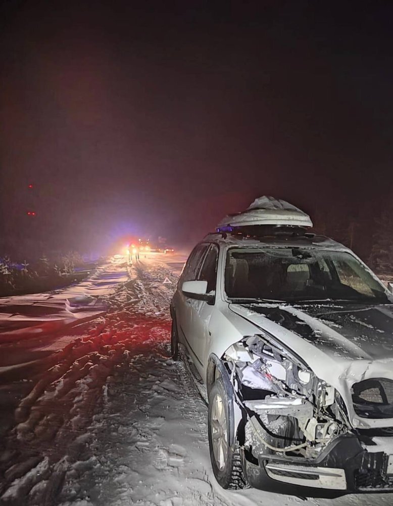    В Югре иномарка сбила оленя