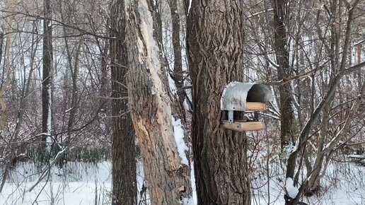 Эльдорадо железногорск курская область: 19 отборных порно видео