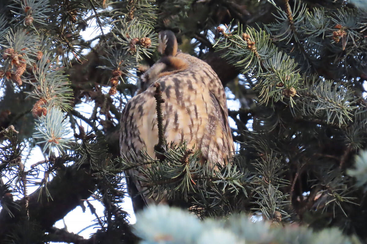 3 декабря 2022 г