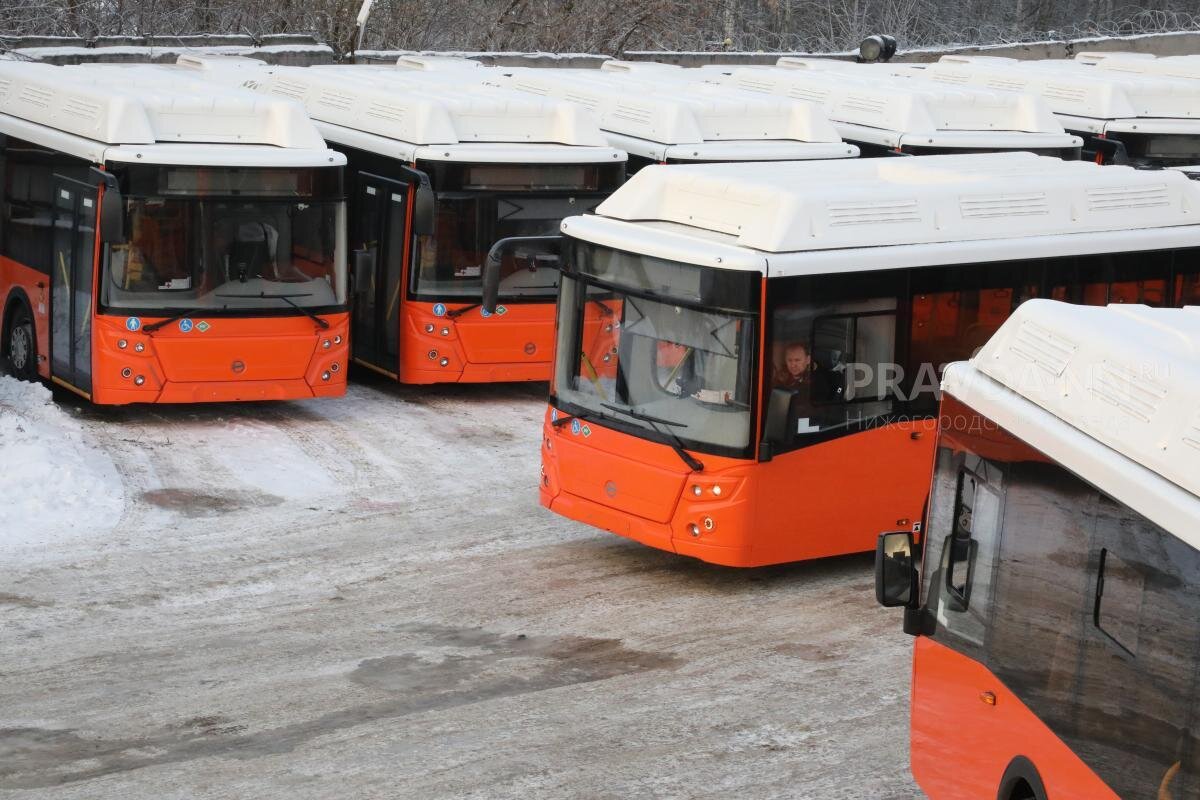    Только 4 декабря нижегородцы забыли две сумки в автобусах Арина Полтанова